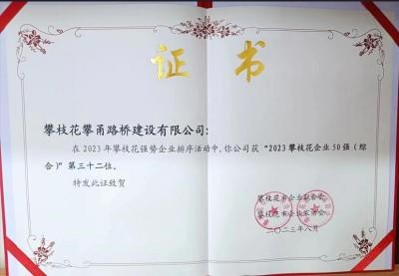 2023攀枝花企业50强（综合)
